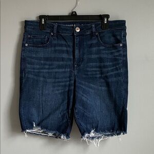 American Eagle Outfitters Dark Blue Jean Shorts